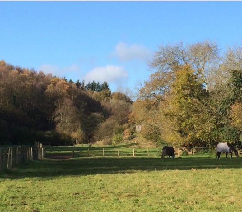 Woodmill Farm Cottage Alvington Bagian luar foto