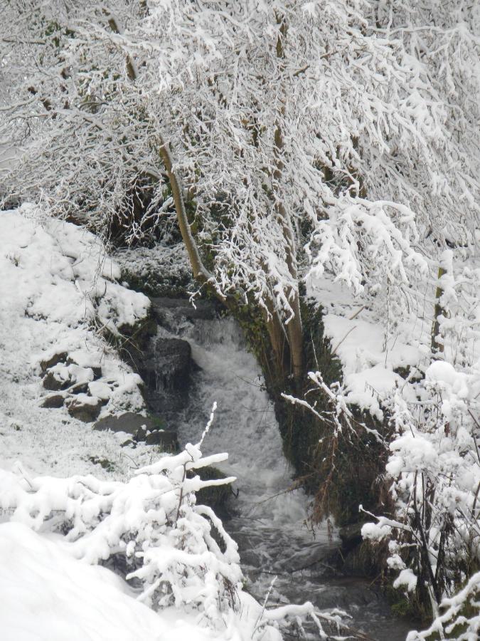 Woodmill Farm Cottage Alvington Bagian luar foto